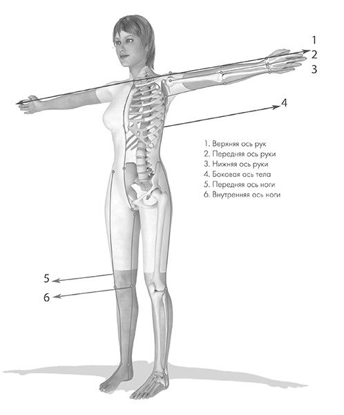 Иллюстрация к книге — САТ: Сакральная архитектура тела. Экспресс-методика [i_016.jpg]