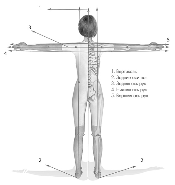 Иллюстрация к книге — САТ: Сакральная архитектура тела. Экспресс-методика [i_017.jpg]