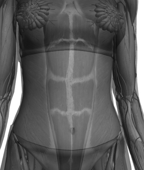 Иллюстрация к книге — САТ: Сакральная архитектура тела. Экспресс-методика [i_029.jpg]