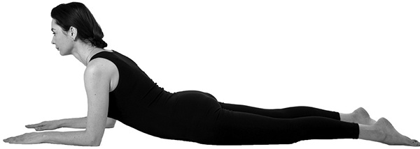 Иллюстрация к книге — САТ: Сакральная архитектура тела. Экспресс-методика [i_033.jpg]