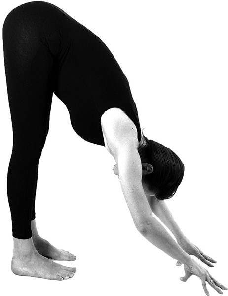 Иллюстрация к книге — САТ: Сакральная архитектура тела. Экспресс-методика [i_035.jpg]