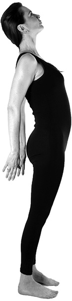 Иллюстрация к книге — САТ: Сакральная архитектура тела. Экспресс-методика [i_038.jpg]