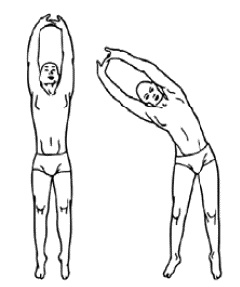 Иллюстрация к книге — Фрукторианство. Новый взгляд на эволюцию питания человека [_129.jpg]