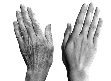 Иллюстрация к книге — Фрукторианство. Новый взгляд на эволюцию питания человека [_149.jpg]