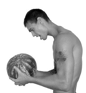 Иллюстрация к книге — Фрукторианство. Новый взгляд на эволюцию питания человека [_163.jpg]