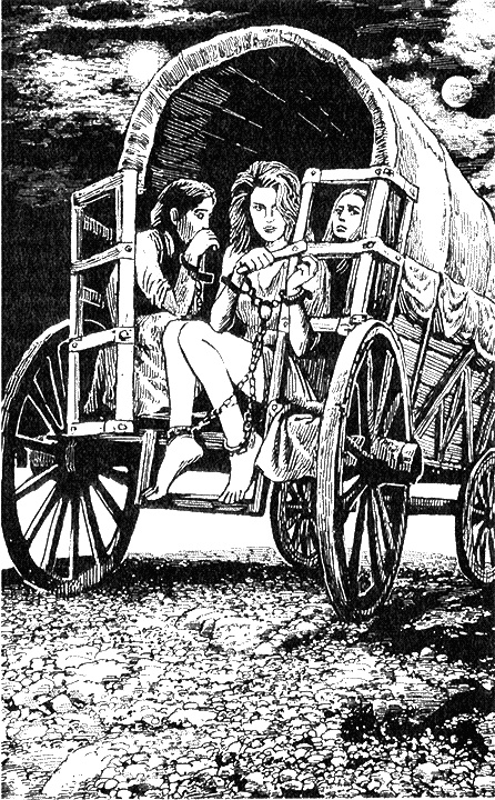 Иллюстрация к книге — Безусловная магия [i_001.jpg]