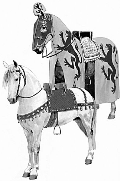 Иллюстрация к книге — Рыцари. Полная иллюстрированная энциклопедия [i_052.jpg]