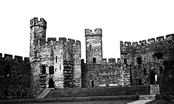 Иллюстрация к книге — Рыцари. Полная иллюстрированная энциклопедия [i_391.jpg]