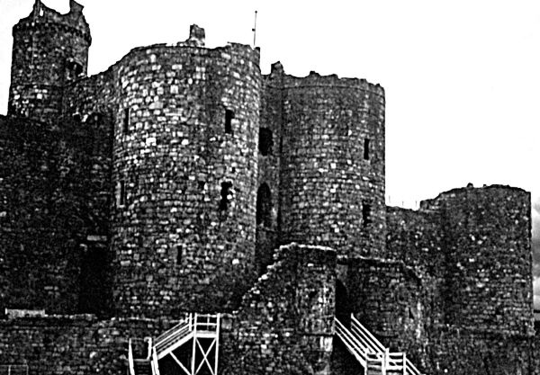 Иллюстрация к книге — Рыцари. Полная иллюстрированная энциклопедия [i_393.jpg]