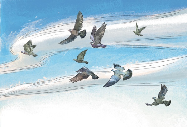 Иллюстрация к книге — Самолеты и авиация [i_004.jpg]