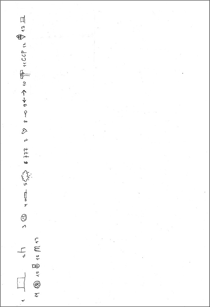 Иллюстрация к книге — Особенности дифференциальной диагностики расстройств мышления на примерах клинической практики [i_005.jpg]