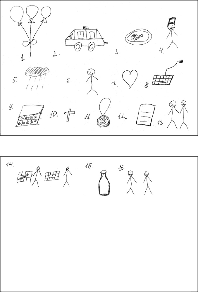 Иллюстрация к книге — Особенности дифференциальной диагностики расстройств мышления на примерах клинической практики [i_015.jpg]