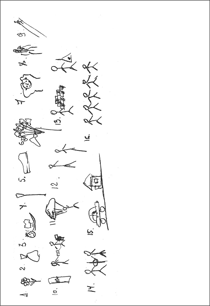 Иллюстрация к книге — Особенности дифференциальной диагностики расстройств мышления на примерах клинической практики [i_017.jpg]