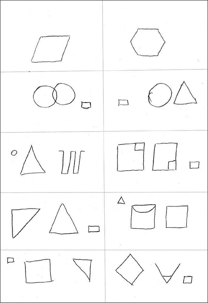 Иллюстрация к книге — Особенности дифференциальной диагностики расстройств мышления на примерах клинической практики [i_022.jpg]