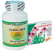 Иллюстрация к книге — Эхинацея в лечении вирусных и кожных заболеваний [i_001.jpg]