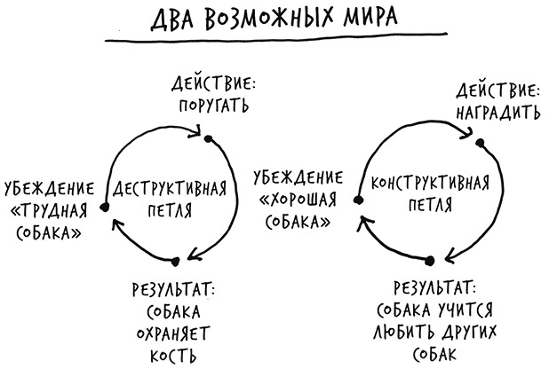 Иллюстрация к книге — Лиминальное мышление. Как перейти границы своих убеждений [i_020.jpg]