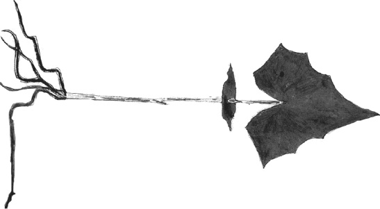 Иллюстрация к книге — Танго смерти [_15.jpg]