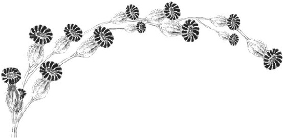 Иллюстрация к книге — Танго смерти [_16.jpg]