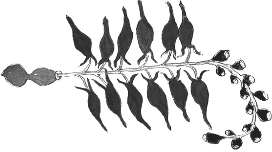 Иллюстрация к книге — Танго смерти [_20.jpg]