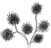 Иллюстрация к книге — Танго смерти [_21.jpg]