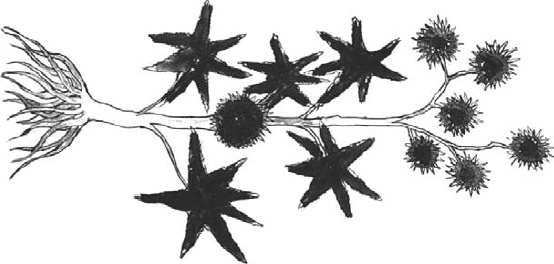 Иллюстрация к книге — Танго смерти [_24.jpg]