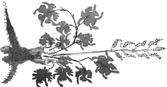 Иллюстрация к книге — Танго смерти [_28.jpg]