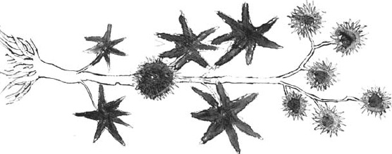 Иллюстрация к книге — Танго смерти [_3.jpg]