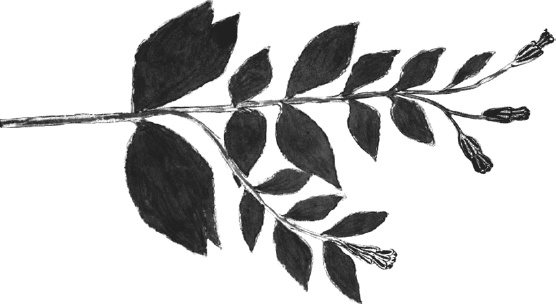 Иллюстрация к книге — Танго смерти [_30.jpg]