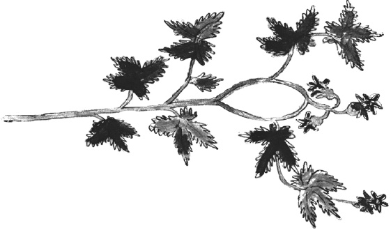 Иллюстрация к книге — Танго смерти [_36.jpg]