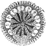 Иллюстрация к книге — Танго смерти [_4.jpg]