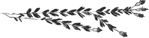 Иллюстрация к книге — Танго смерти [_40.jpg]