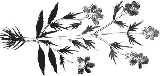 Иллюстрация к книге — Танго смерти [_44.jpg]