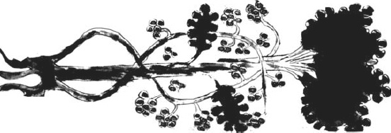 Иллюстрация к книге — Танго смерти [_46.jpg]