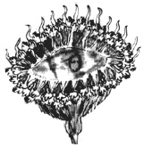 Иллюстрация к книге — Танго смерти [_47.jpg]