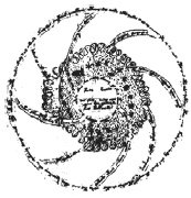 Иллюстрация к книге — Танго смерти [_49.jpg]