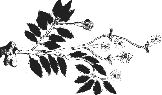 Иллюстрация к книге — Танго смерти [_53.jpg]