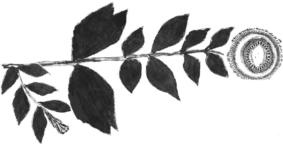 Иллюстрация к книге — Танго смерти [_55.jpg]