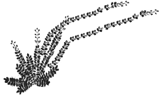 Иллюстрация к книге — Танго смерти [_56.jpg]