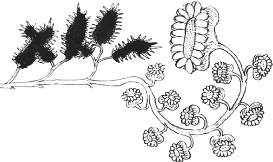 Иллюстрация к книге — Танго смерти [_9.jpg]