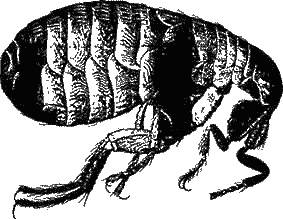 Иллюстрация к книге — Ртуть [image_01.jpg]