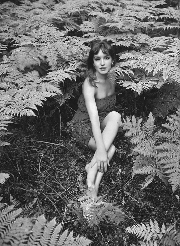 Иллюстрация к книге — Анна Самохина. Роковая женщина советского кино [i_136.jpg]