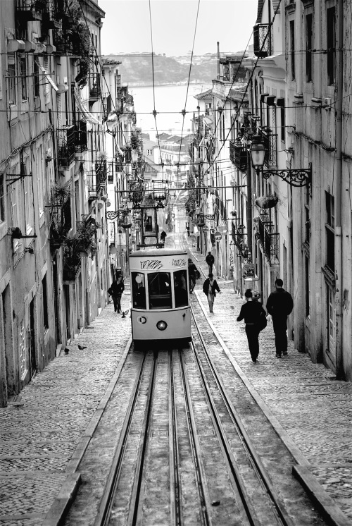 Иллюстрация к книге — Джоан Роулинг. Всё о Гарри Поттере, жизни и любви [i_028.jpg]