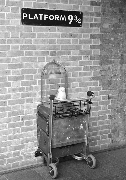 Иллюстрация к книге — Джоан Роулинг. Всё о Гарри Поттере, жизни и любви [i_040.jpg]