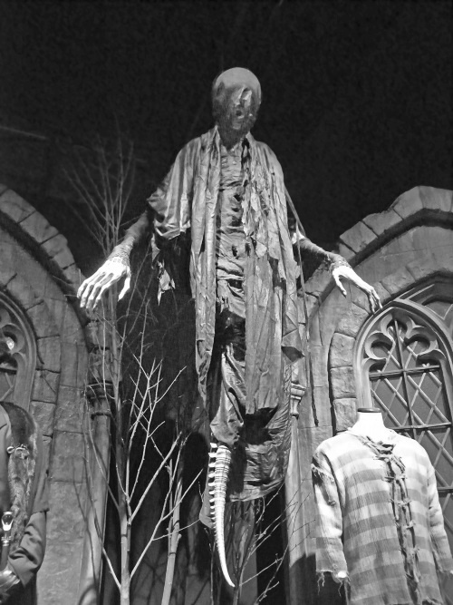 Иллюстрация к книге — Джоан Роулинг. Всё о Гарри Поттере, жизни и любви [i_042.jpg]