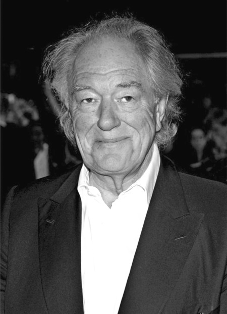 Иллюстрация к книге — Джоан Роулинг. Всё о Гарри Поттере, жизни и любви [i_063.jpg]