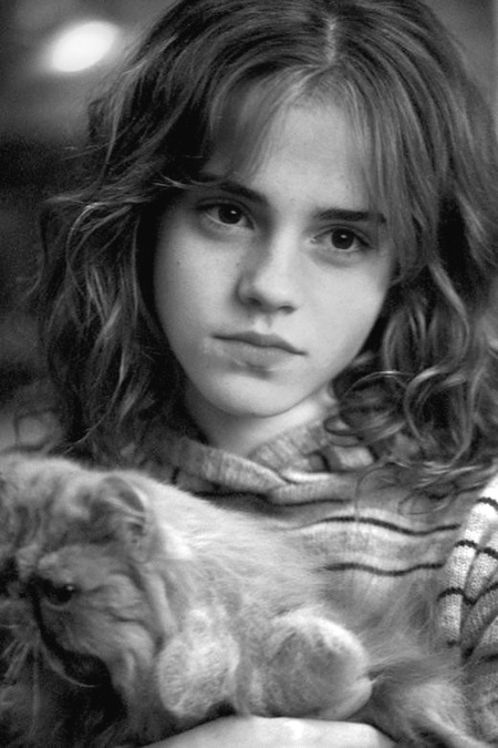 Иллюстрация к книге — Джоан Роулинг. Всё о Гарри Поттере, жизни и любви [i_081.jpg]