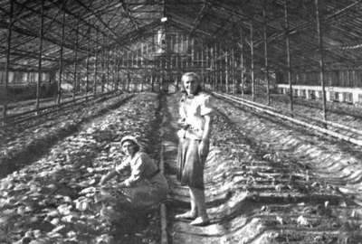 Иллюстрация к книге — Коломяги и Комендантский аэродром. Прошлое и настоящее [_095.jpg]