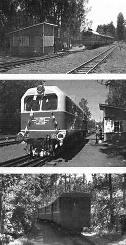 Иллюстрация к книге — Коломяги и Комендантский аэродром. Прошлое и настоящее [_122.jpg]