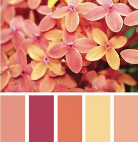 Иллюстрация к книге — Основы личного стиля [_036_2.jpg]