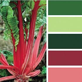 Иллюстрация к книге — Основы личного стиля [_038_3.jpg]